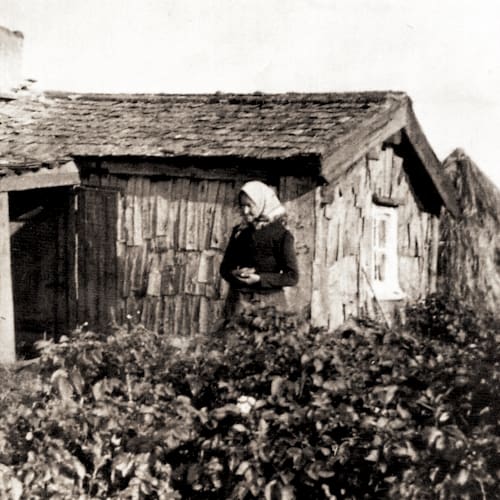 Porträtt av Nätta-Klara (enligt bildtexten)