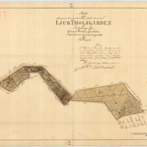 1869 Ljur Tholsgården hemmansdelning – historisk karta