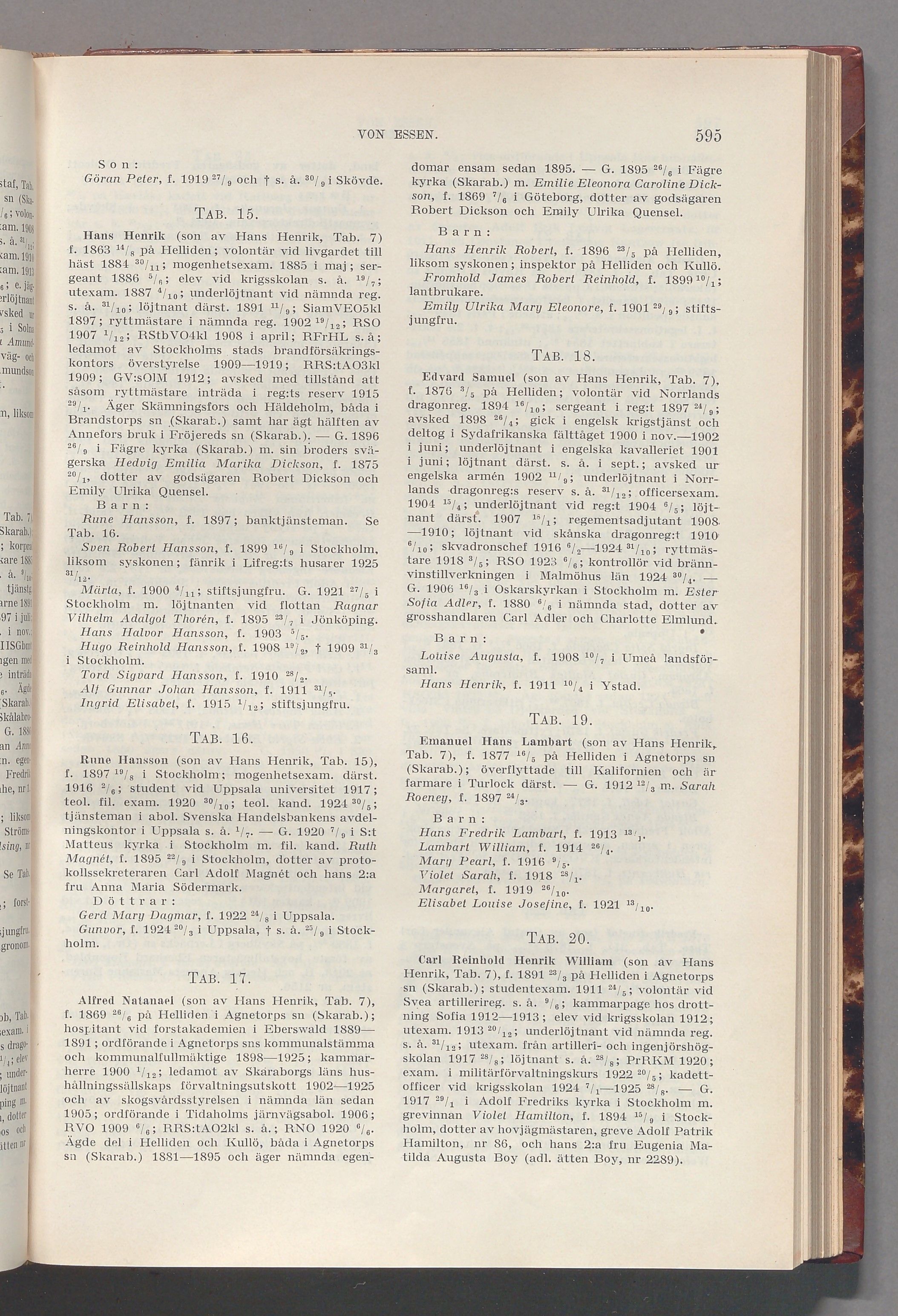 von Essen: originalets tryckta släkttavla, band 2, sida 595