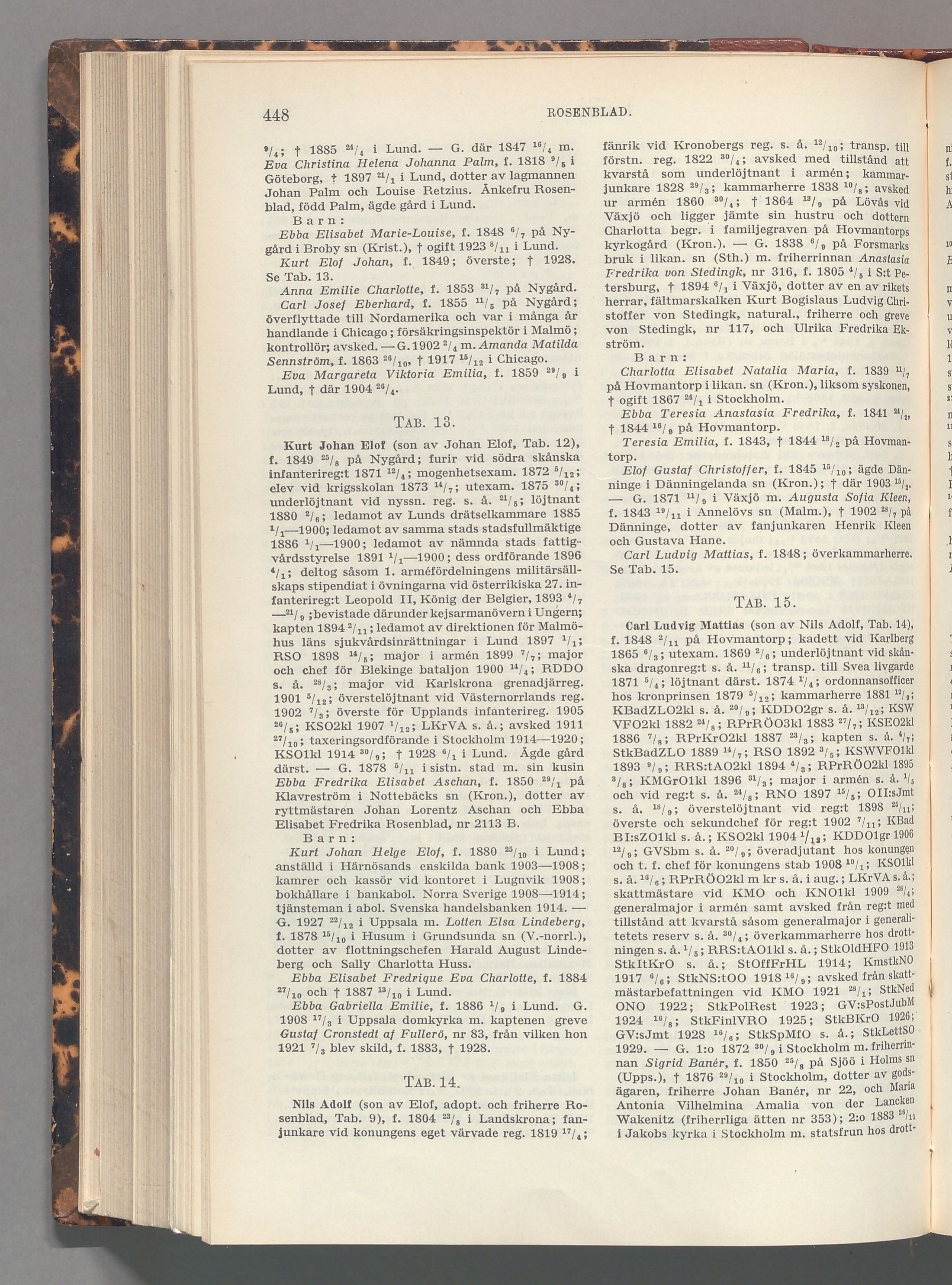 Rosenblad: originalets tryckta släkttavla, band 6, sida 448