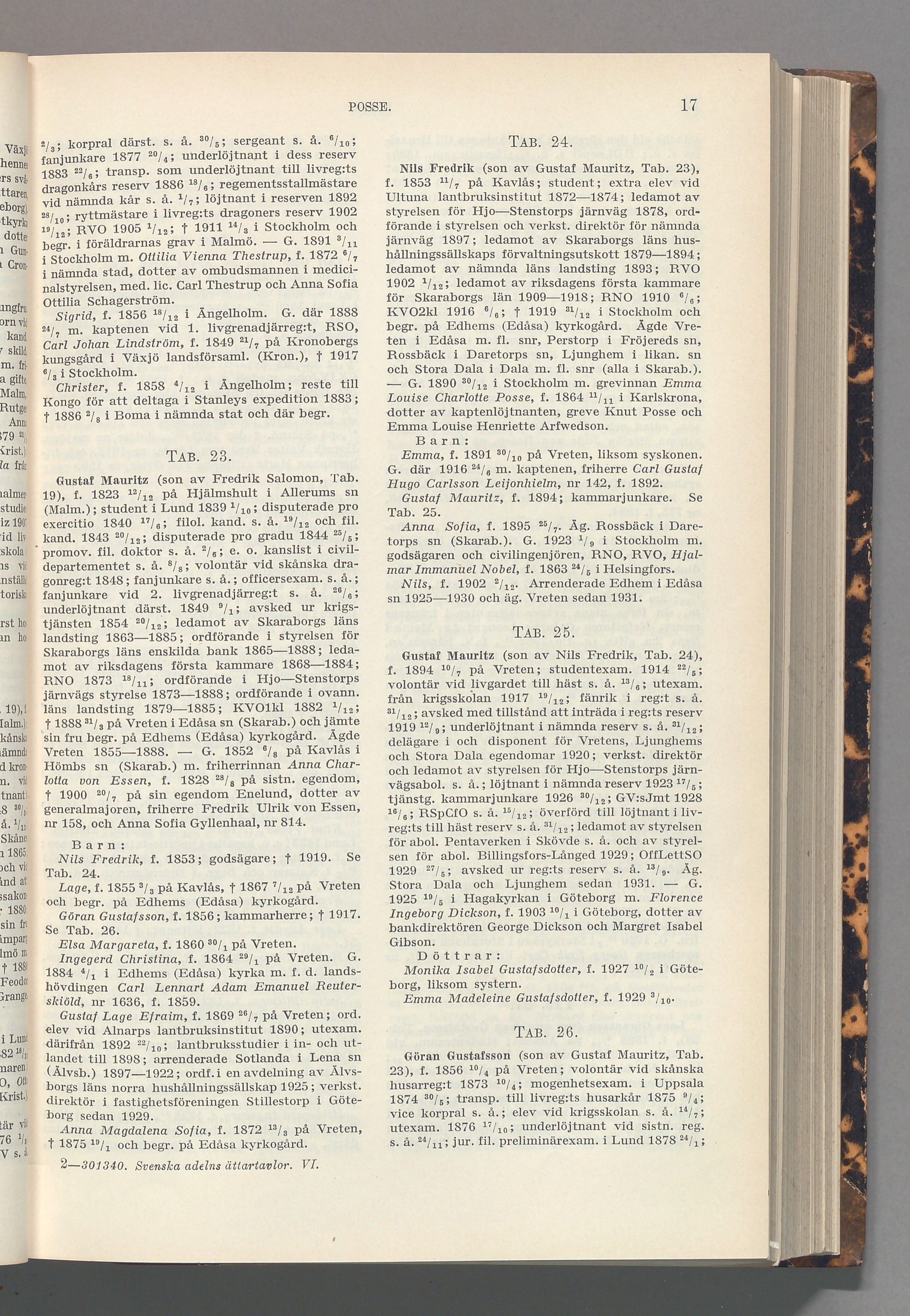 Posse: originalets tryckta släkttavla, band 6, sida 17