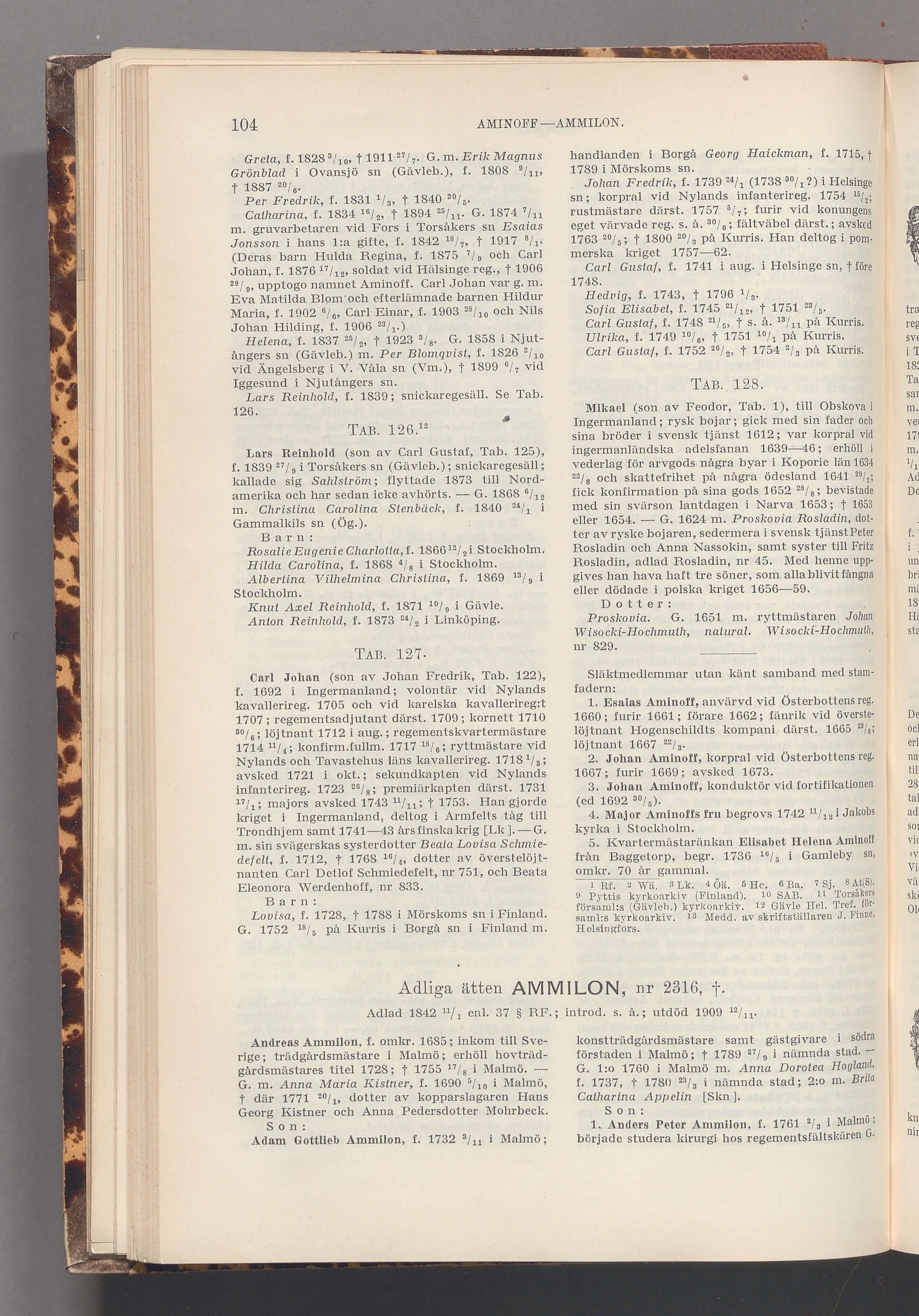 Aminoff: originalets tryckta släkttavla, band 1, sida 104