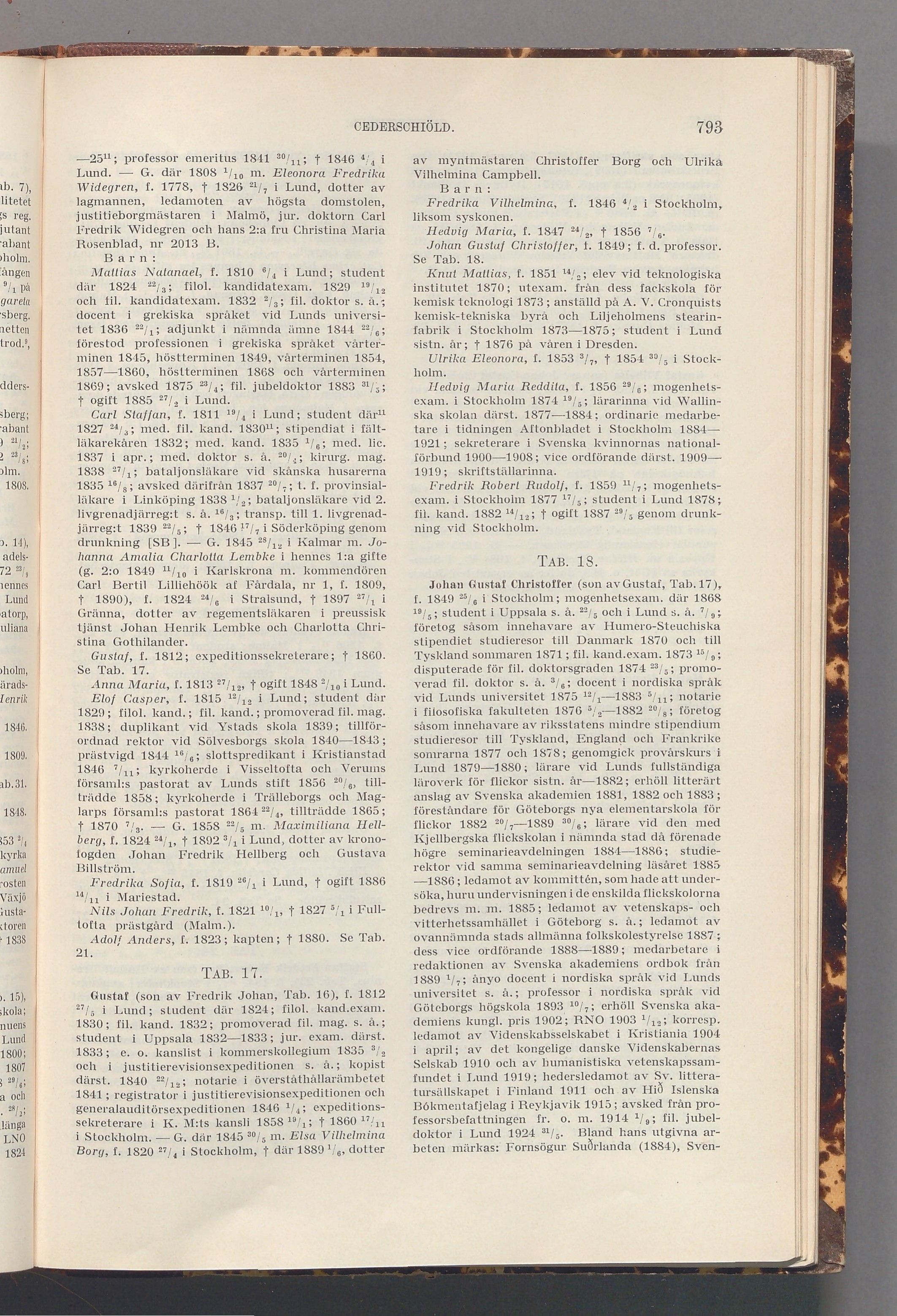 Cederschiöld: originalets tryckta släkttavla, band 1, sida 793