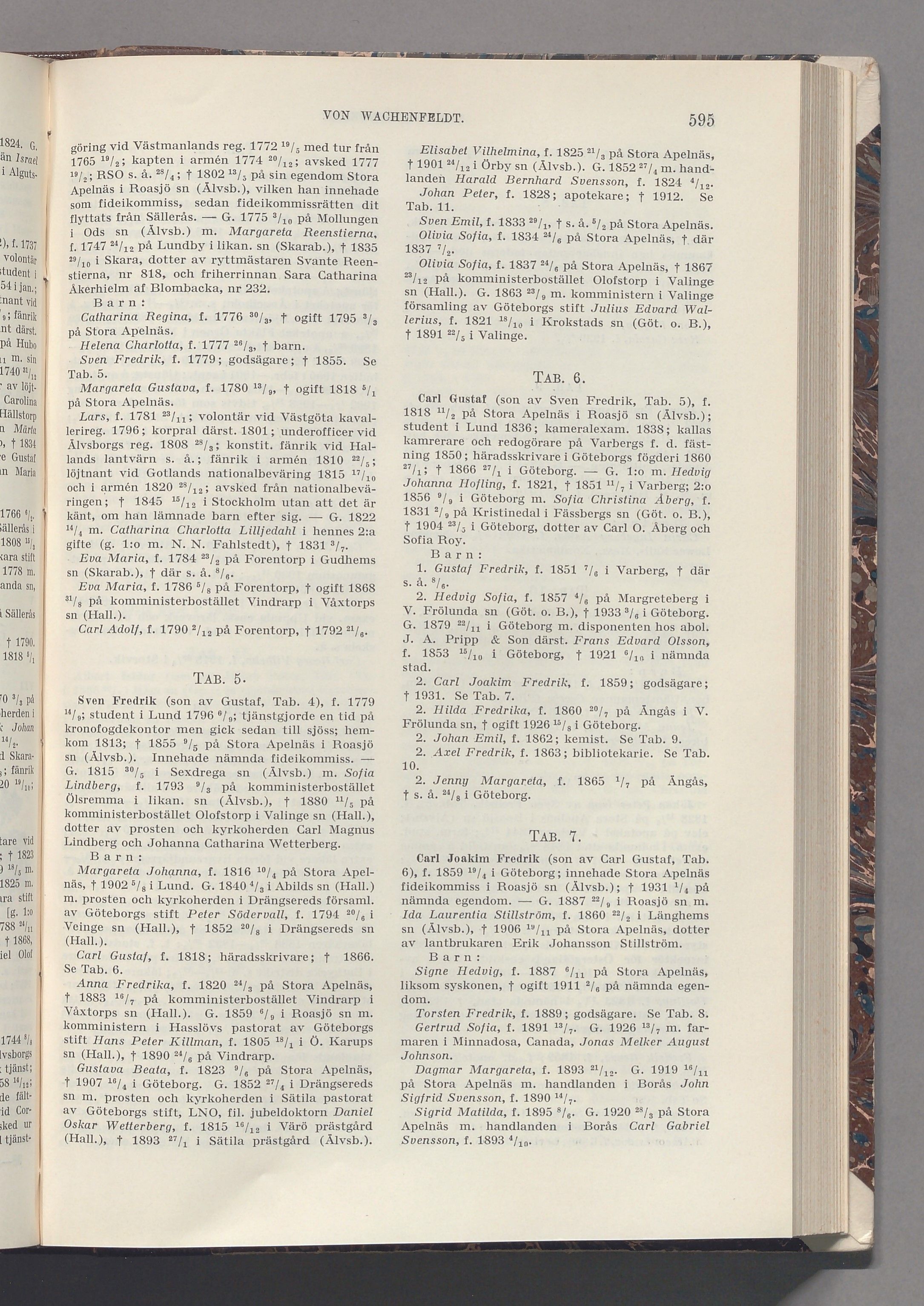 von Wachenfeldt: originalets tryckta släkttavla, band 8, sida 595