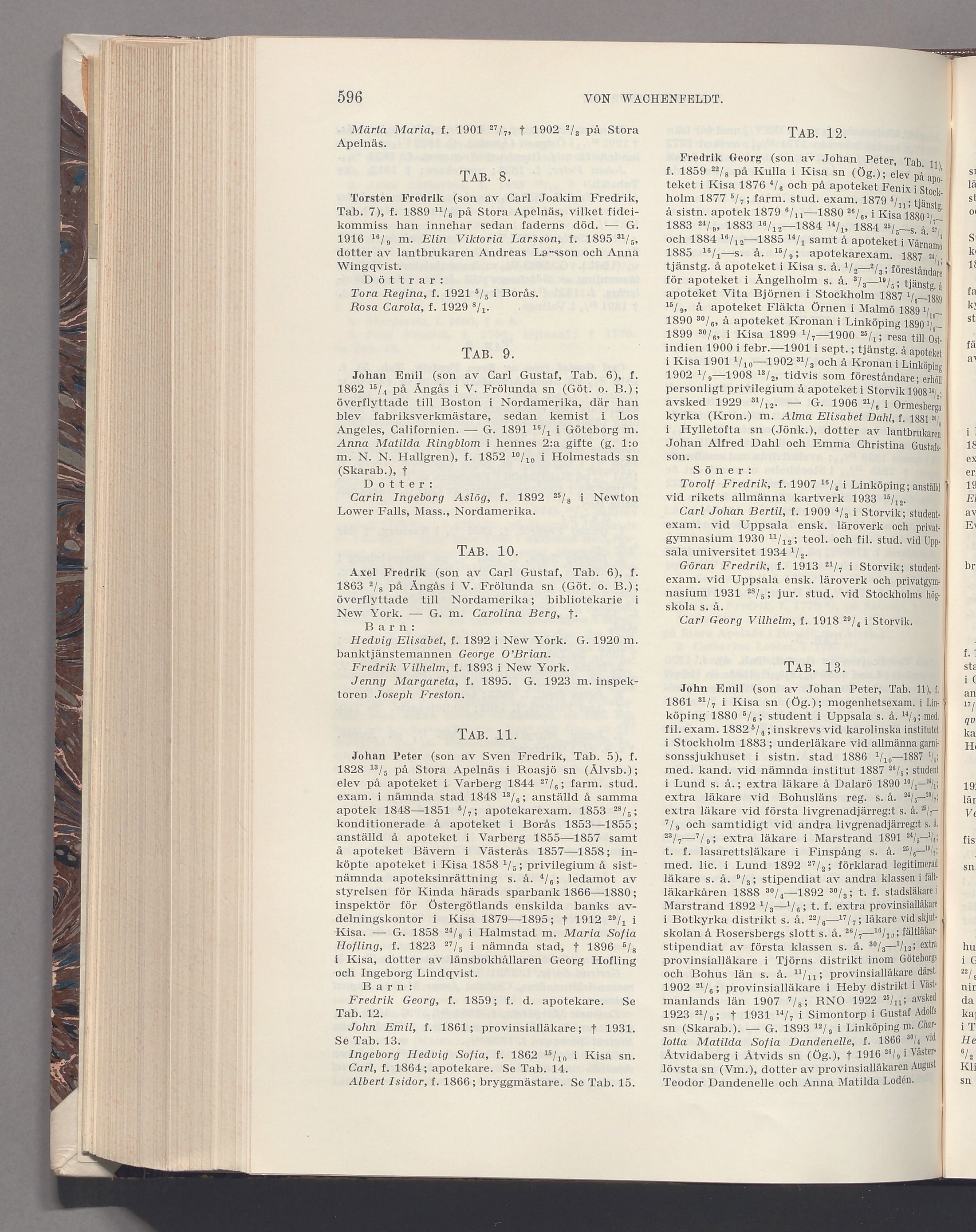 von Wachenfeldt: originalets tryckta släkttavla, band 8, sida 596