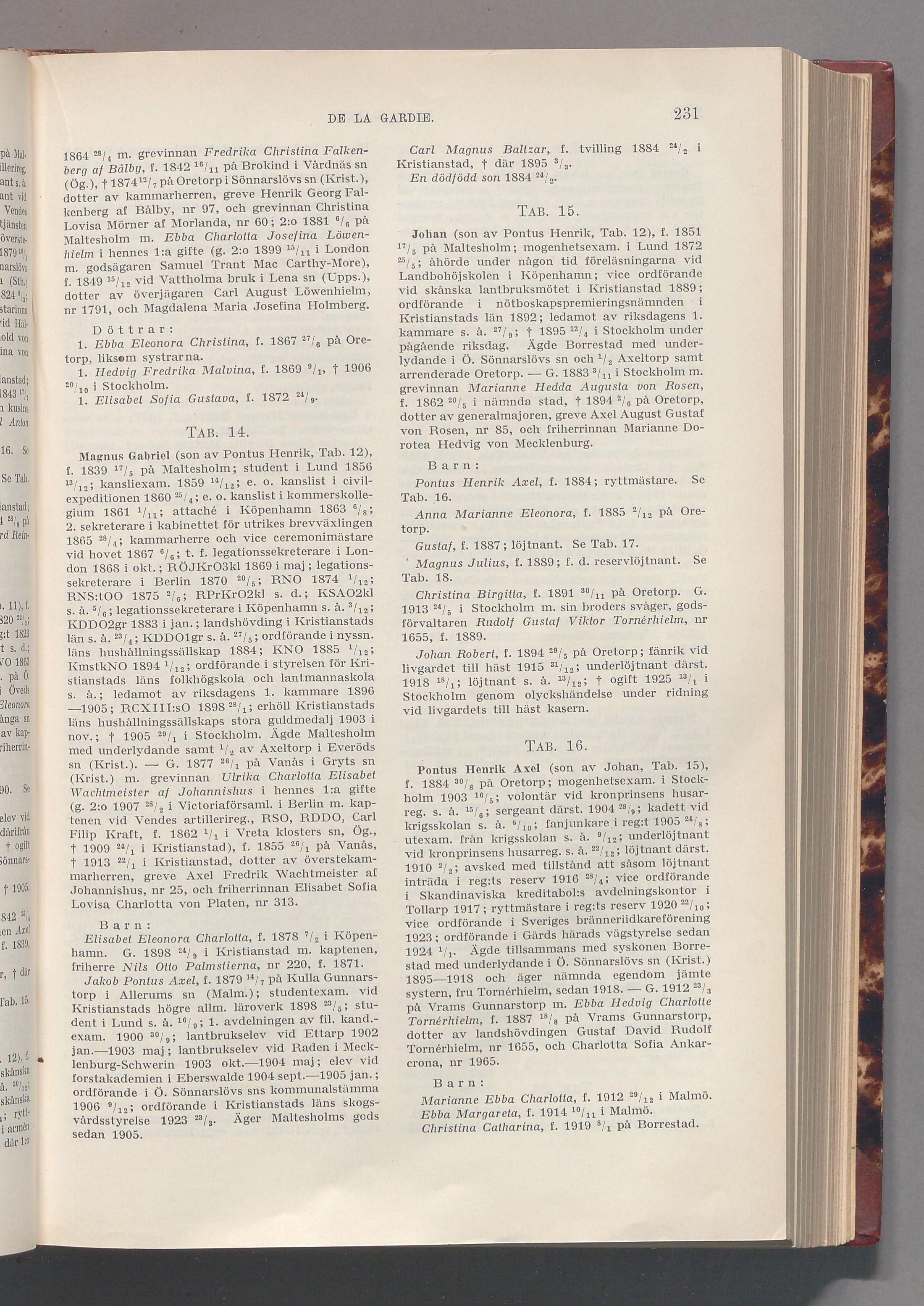 De la Gardie: originalets tryckta släkttavla, band 2, sida 231