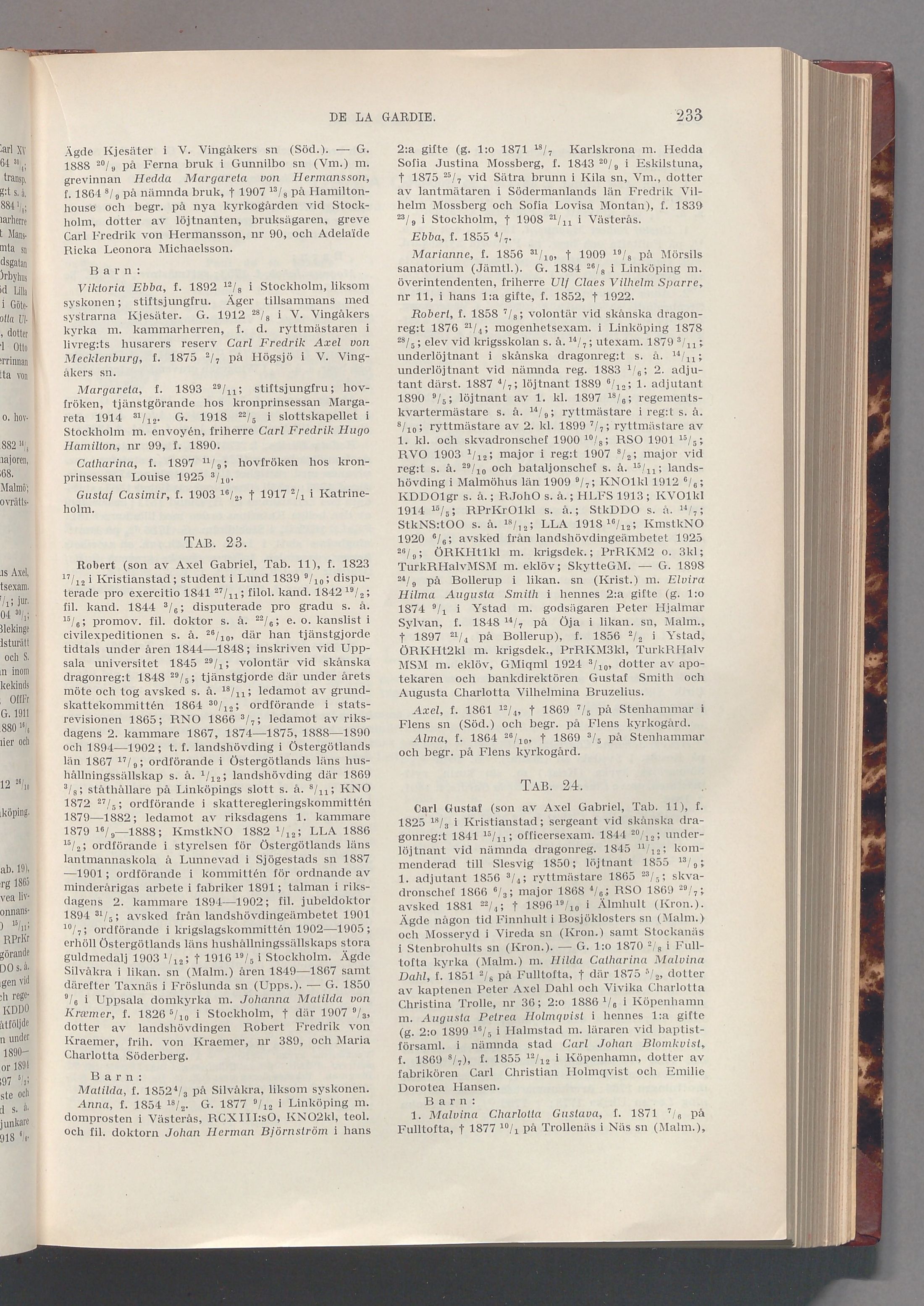 De la Gardie: originalets tryckta släkttavla, band 2, sida 233