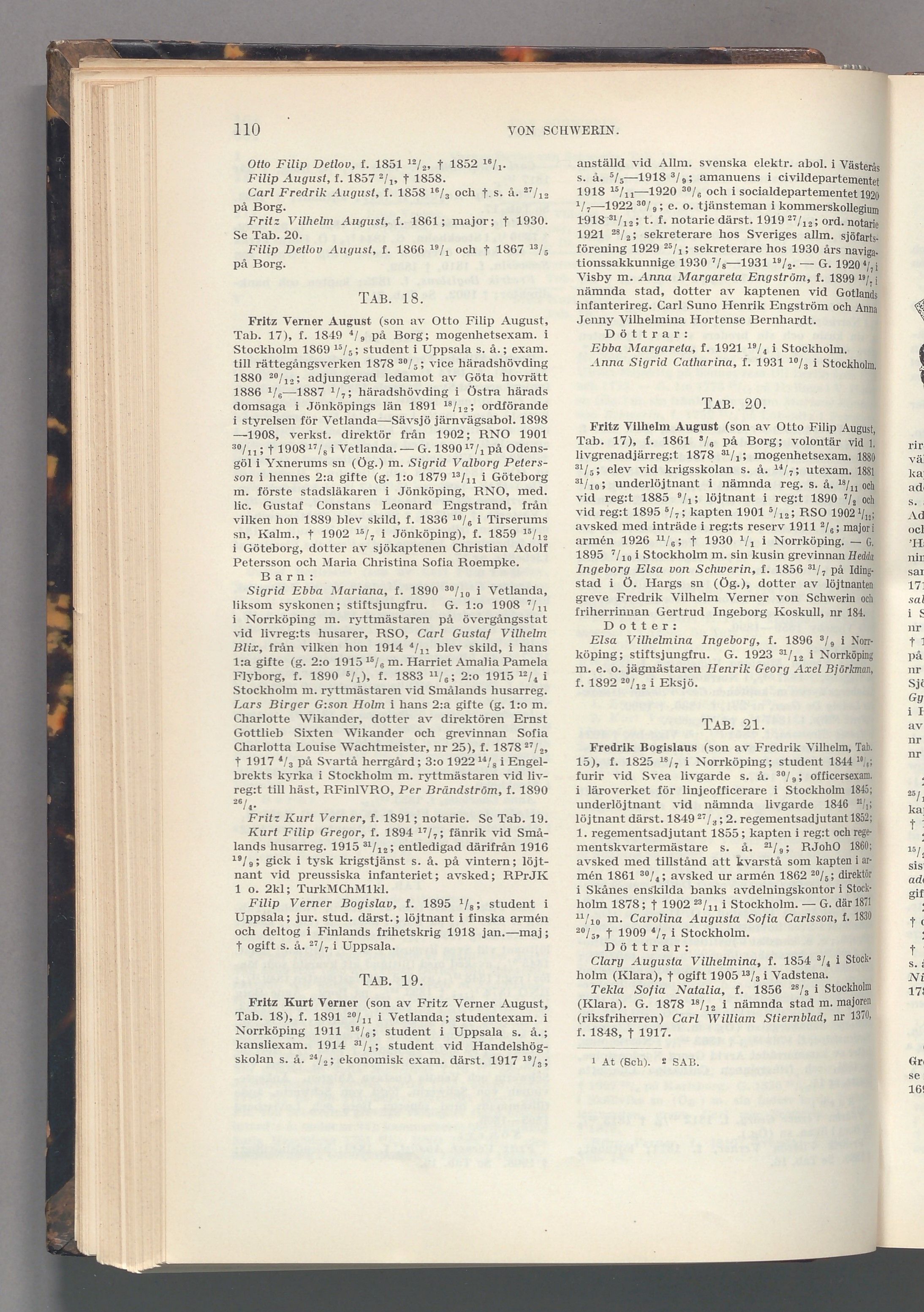 von Schwerin: originalets tryckta släkttavla, band 7, sida 110