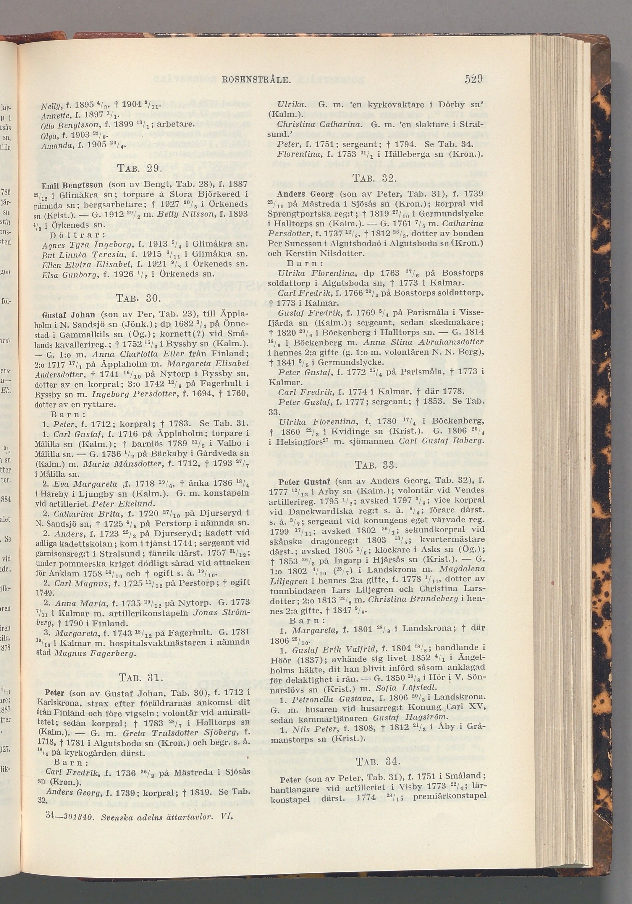 Rosenstråle: originalets tryckta släkttavla, band 6, sida 529